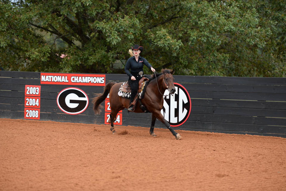 PHOTOS UGA Equestrian defeats Oklahoma State, 136 Multimedia