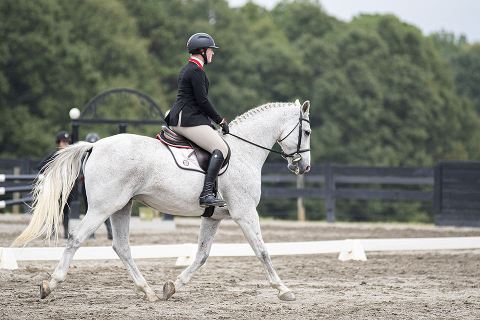 PHOTOS UGA equestrian takes the win over South Carolina, 145