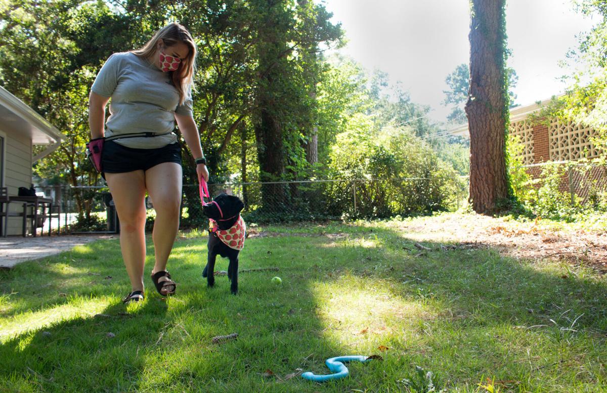 200804_SHY_GuideDog4680-2.jpg