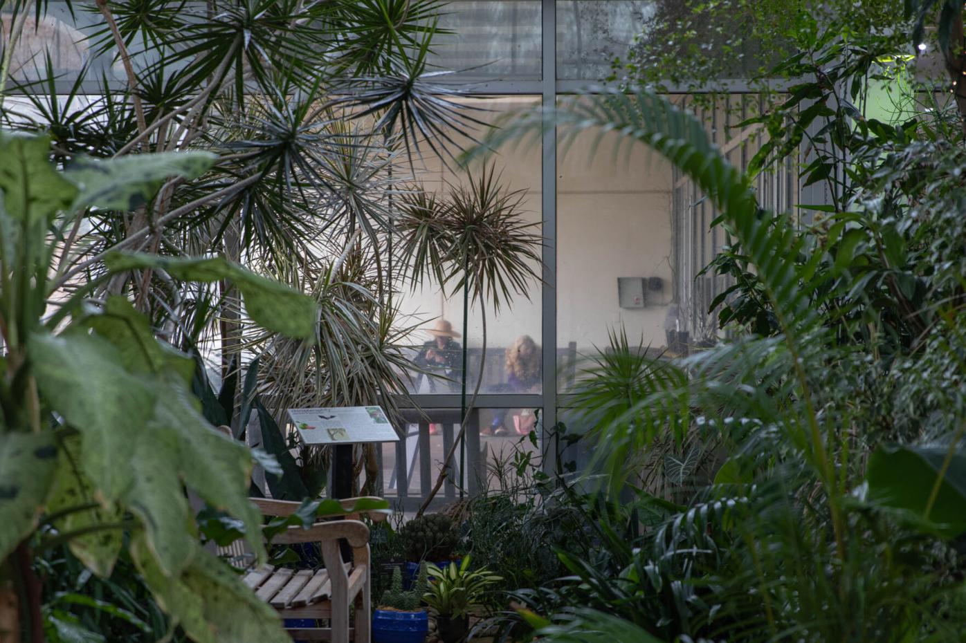 210324_SMH_Spring Botanical Gardens 008.jpg