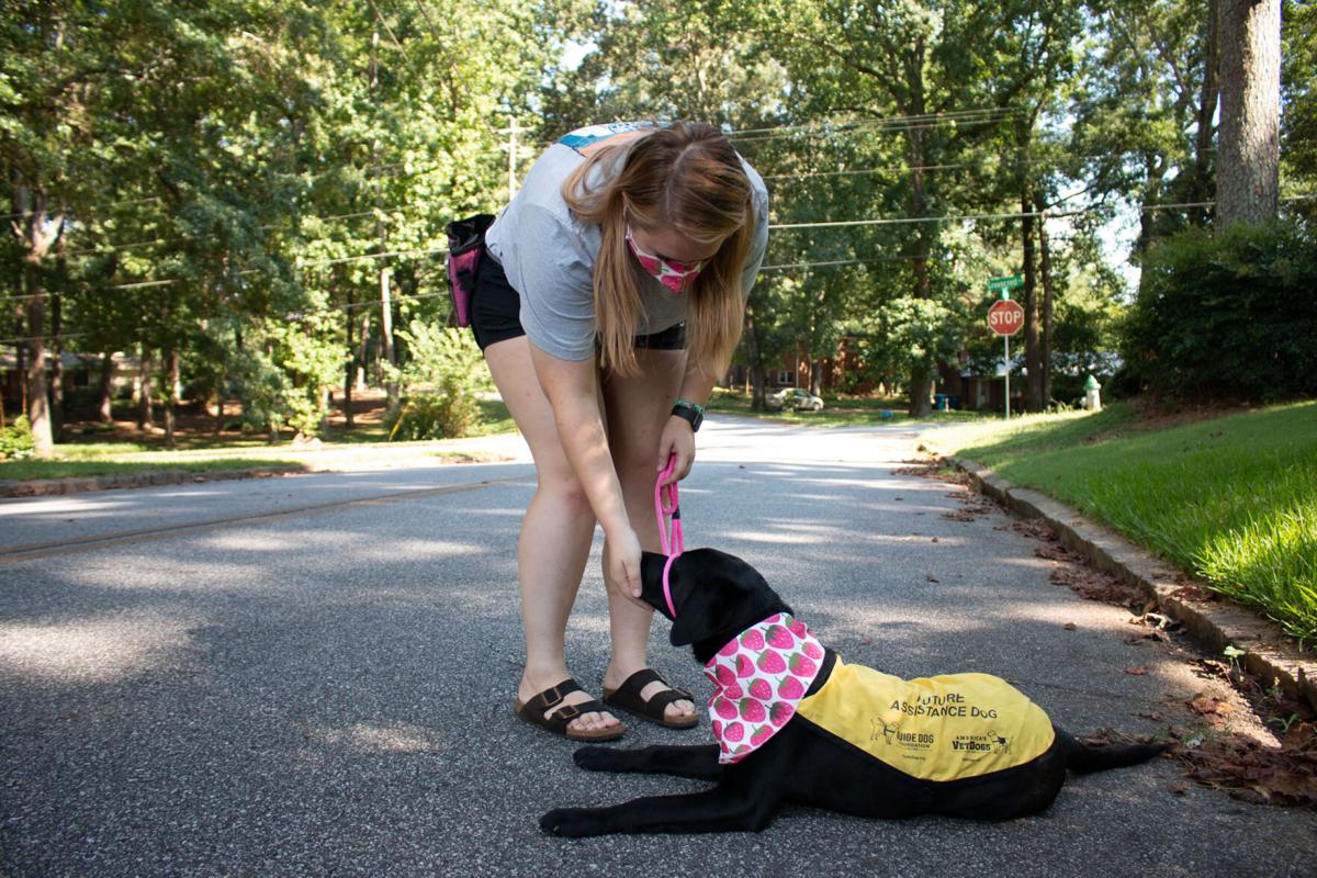 200804_SHY_GuideDog4717-2.jpg