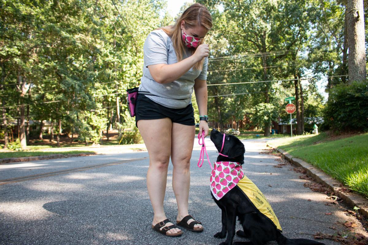 200804_SHY_GuideDog4721-2.jpg