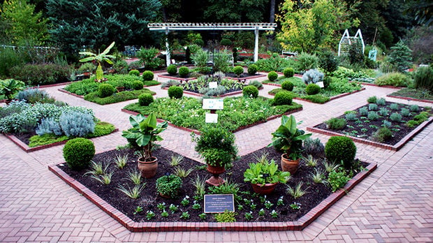 State Botanical Garden Moves Up The Ranks As A Top Garden