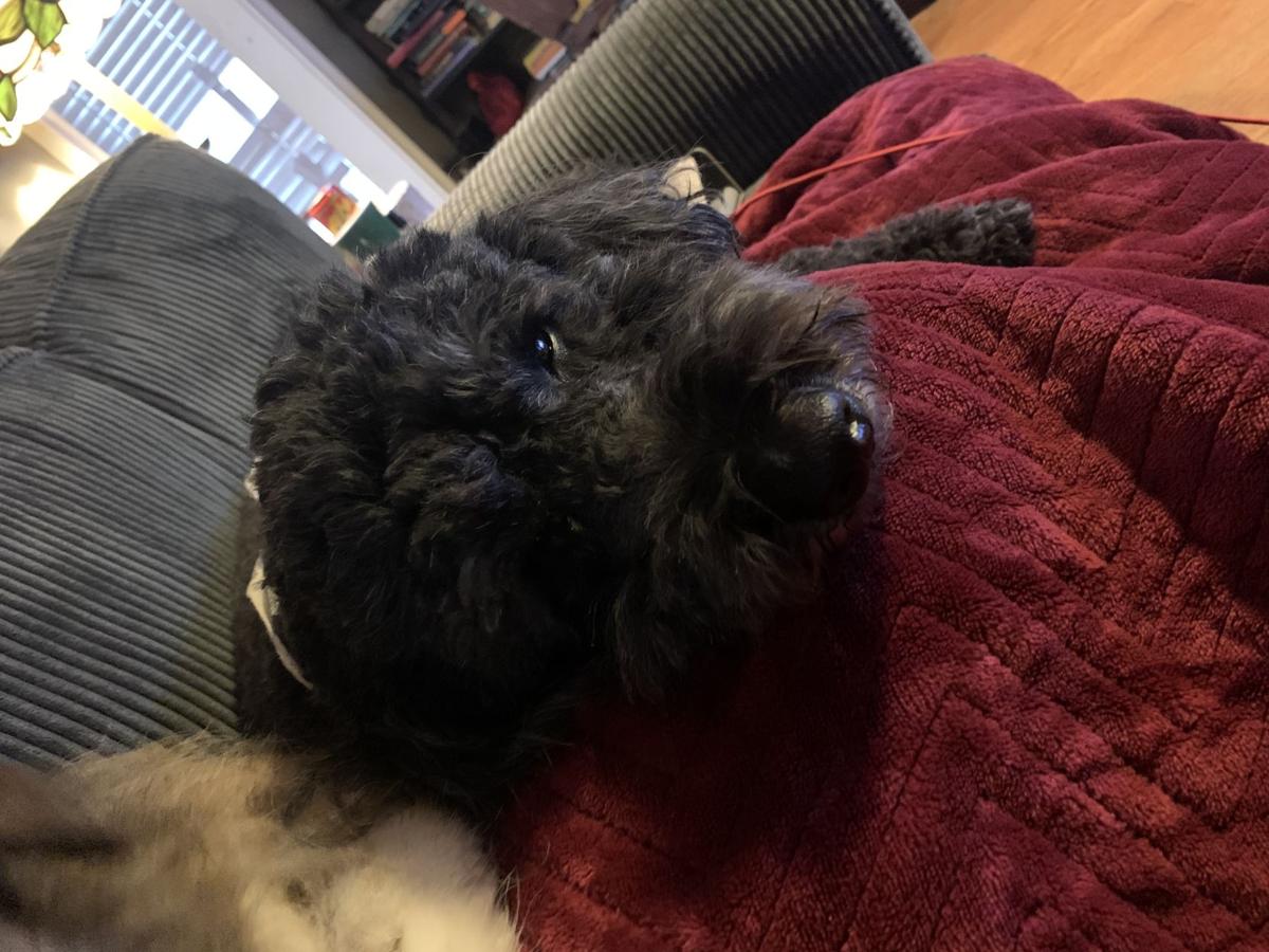 Charlie