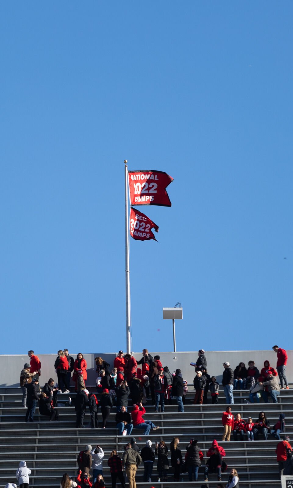 Georgia Bulldogs national championship parade 