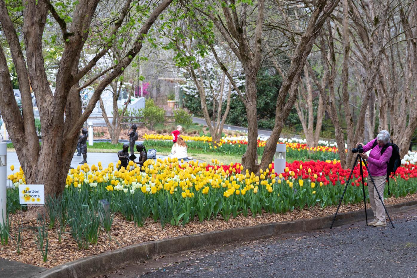 210324_SMH_Spring Botanical Gardens 009.jpg