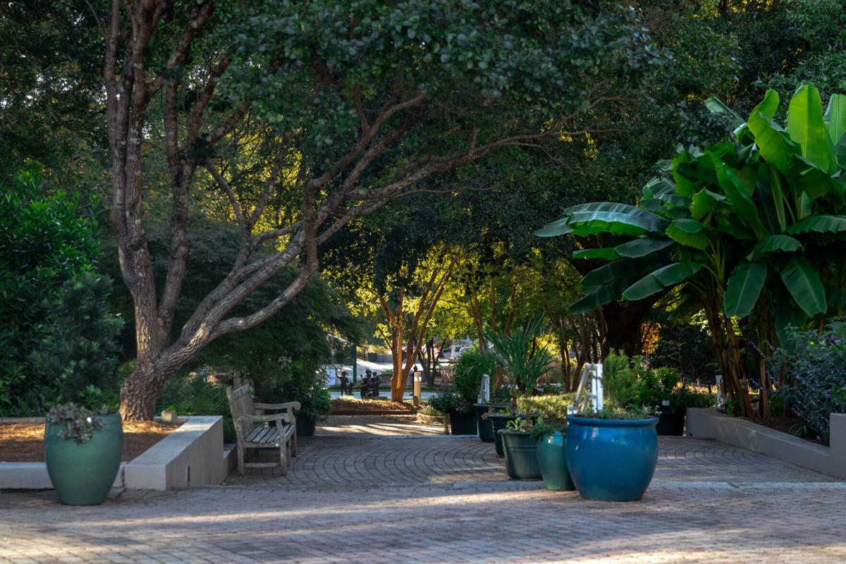 PHOTOS: Fall at The State Botanical Garden of Georgia | Multimedia ...
