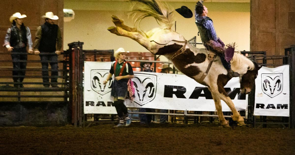 Athens weekend preview: Rodeo, Nowruz, laser show and zoo day | Arts ...