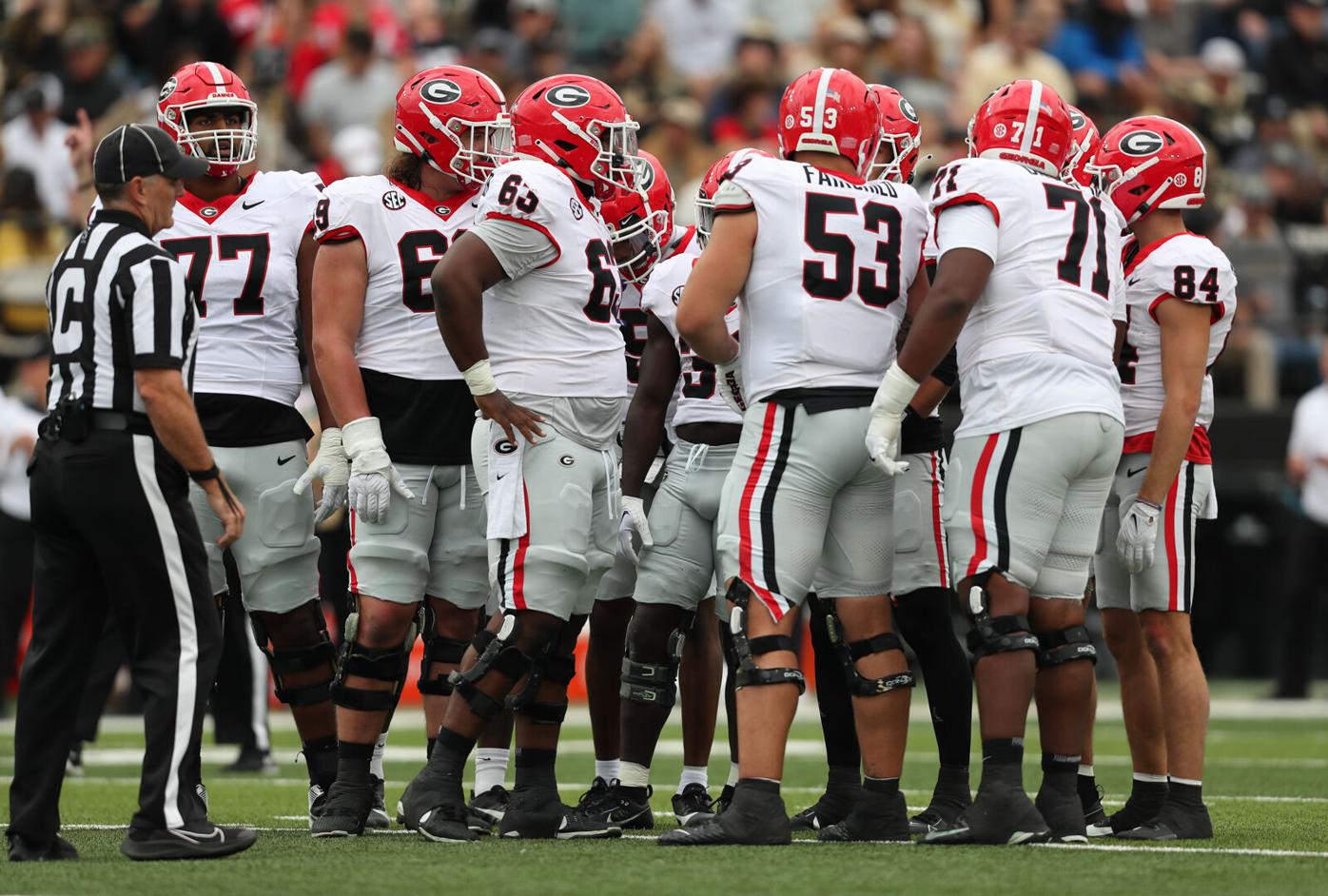 Resilient Georgia Bulldogs capture first national football title