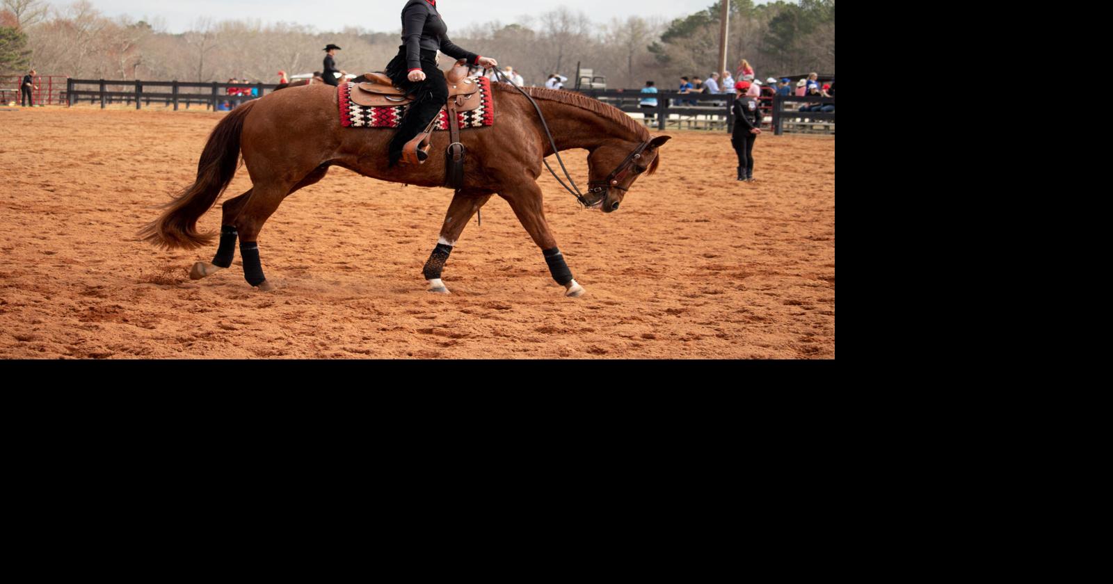 photos-uga-equestrian-v-smu-multimedia-redandblack