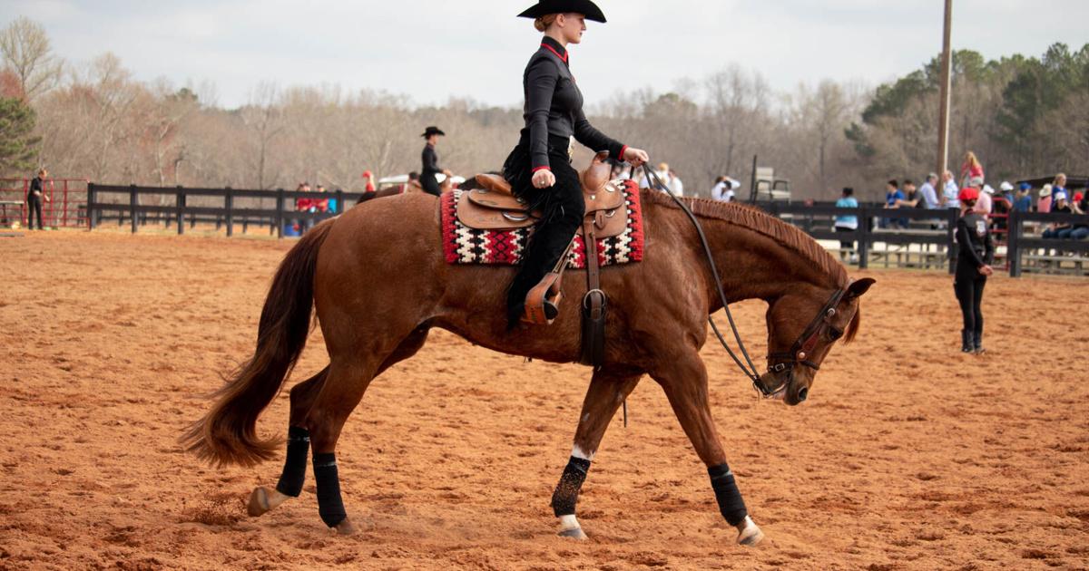 PHOTOS UGA Equestrian V SMU Multimedia Redandblack photos-uga-equestrian-v-smu-multimedia-redandblack