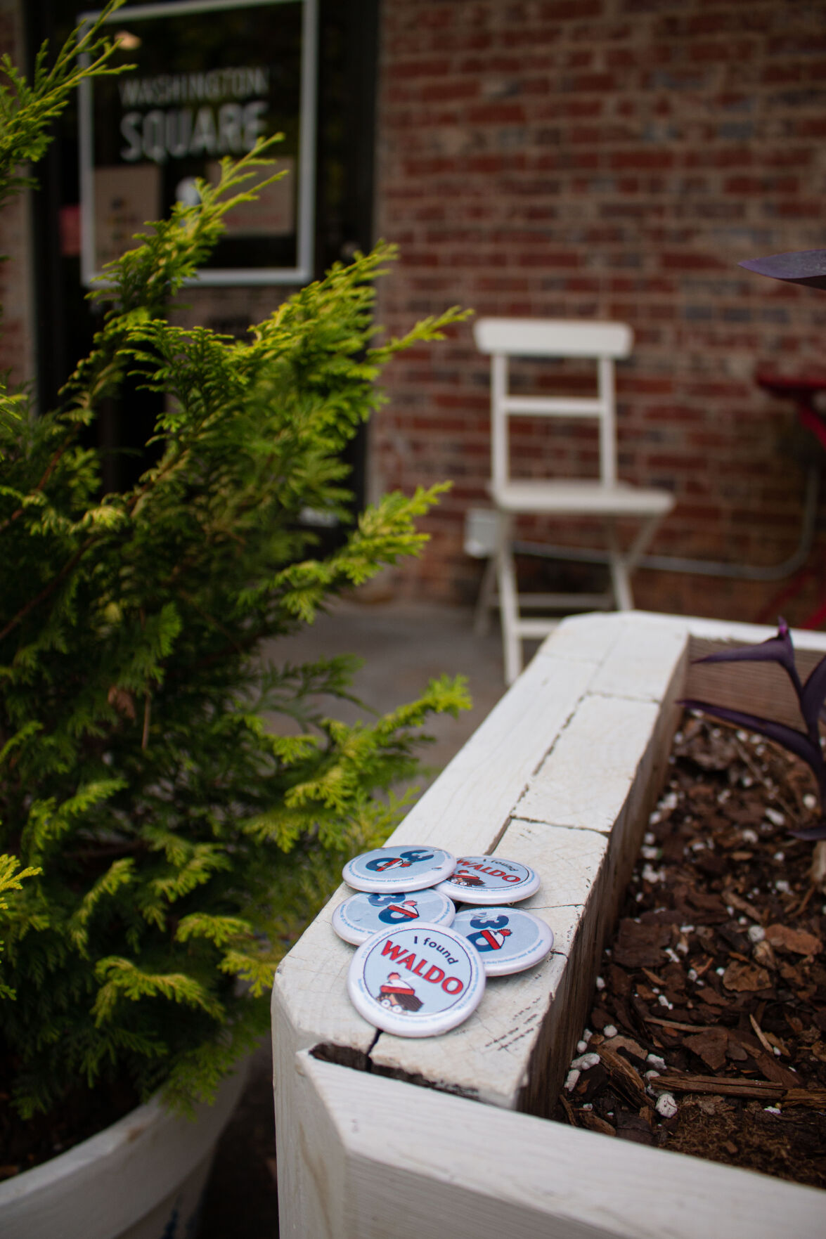 avid waldo pins 0003.jpg