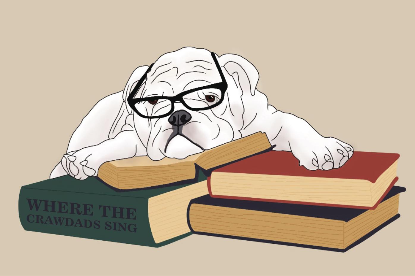 bulldog reading book