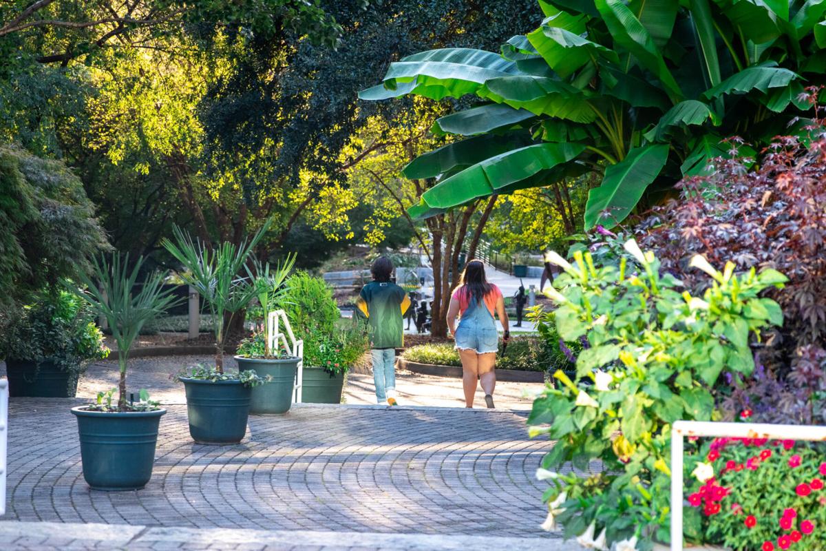 201022_SMH_botanicalgarden014.jpg