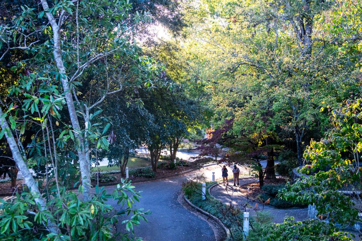 201022_SMH_botanicalgarden015.jpg