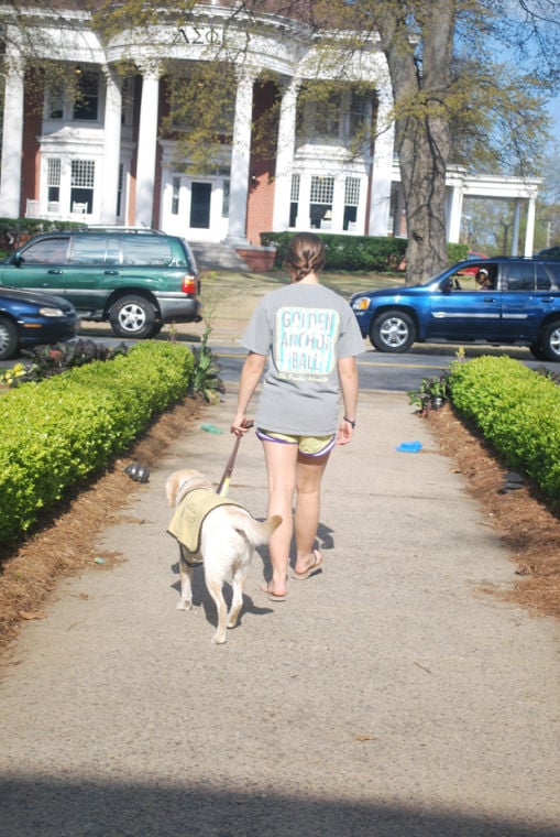 uga service dog training