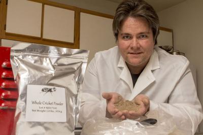 Dr. Aaron T. Dossey - All Things Bugs