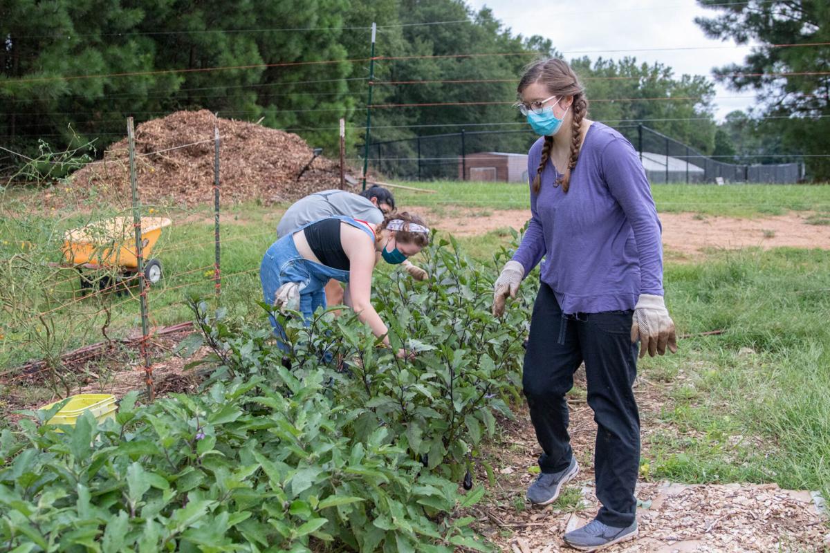 200829_SMH_DawgDayofService-31.jpg
