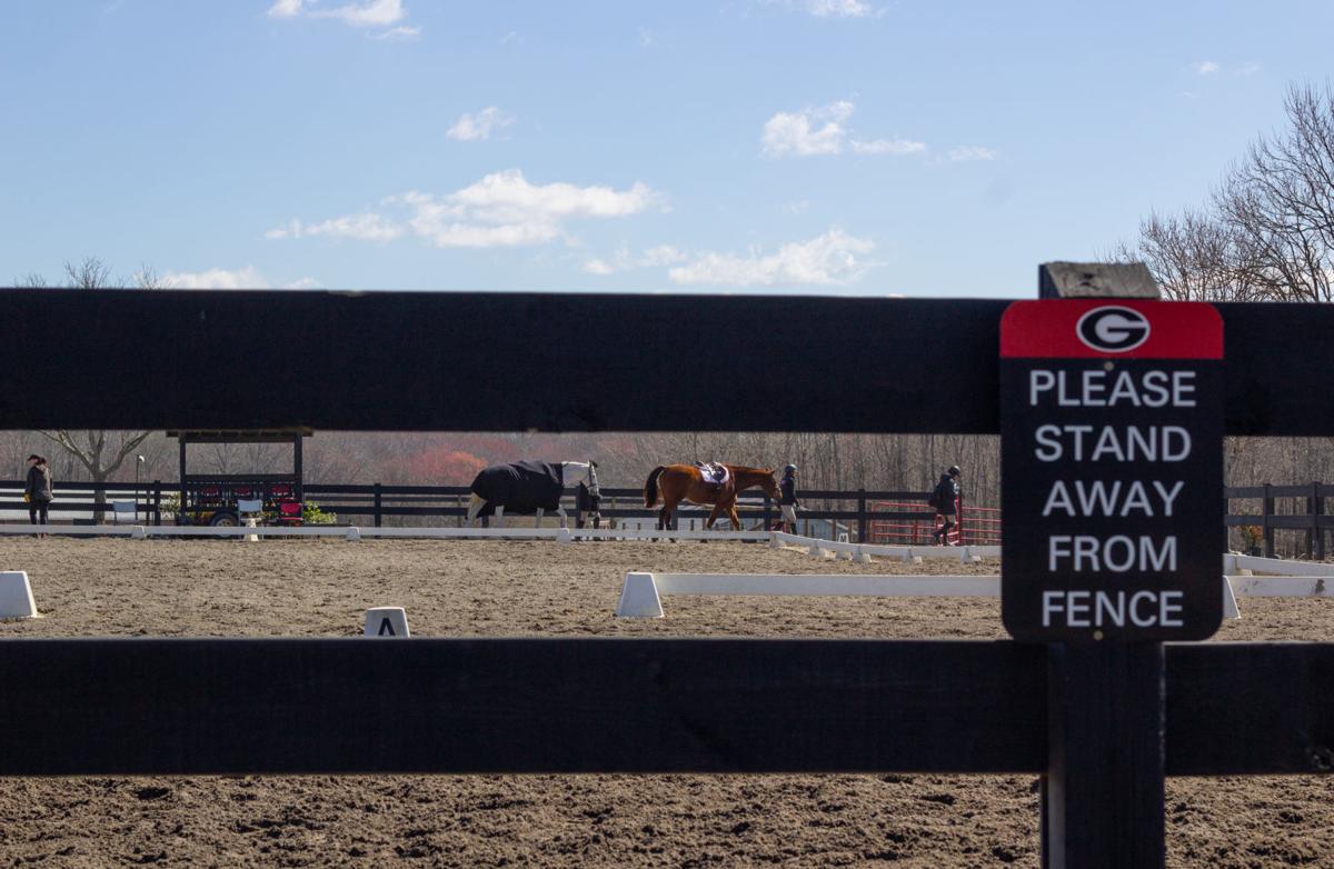 200229_CMB_Equestrian_00759.jpg