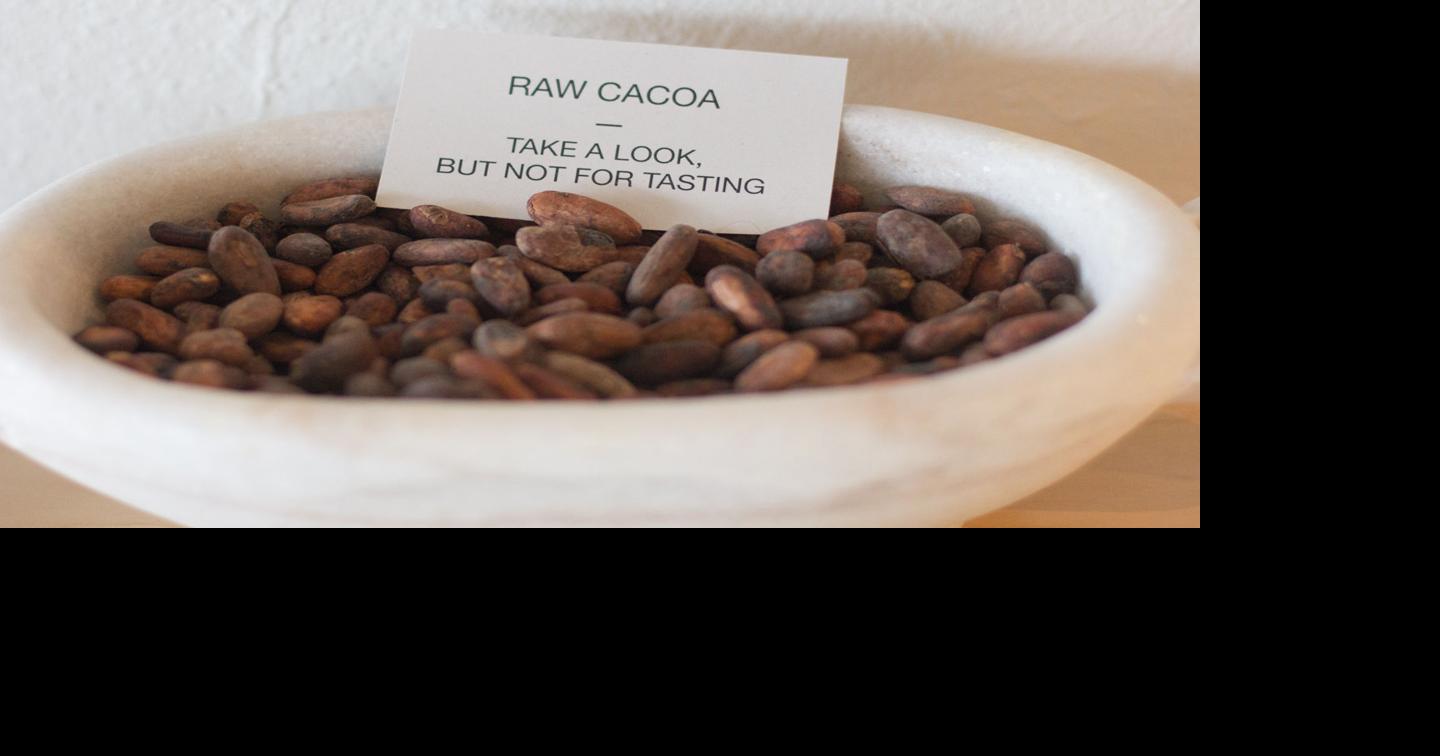 Condor Chocolates to give sweet demonstration: Yes, there will be ...