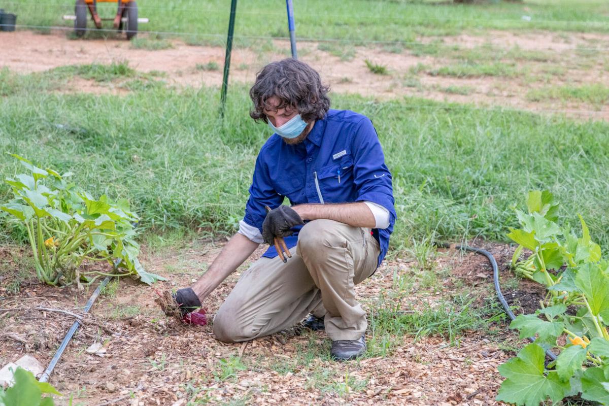 200829_SMH_DawgDayofService-33.jpg