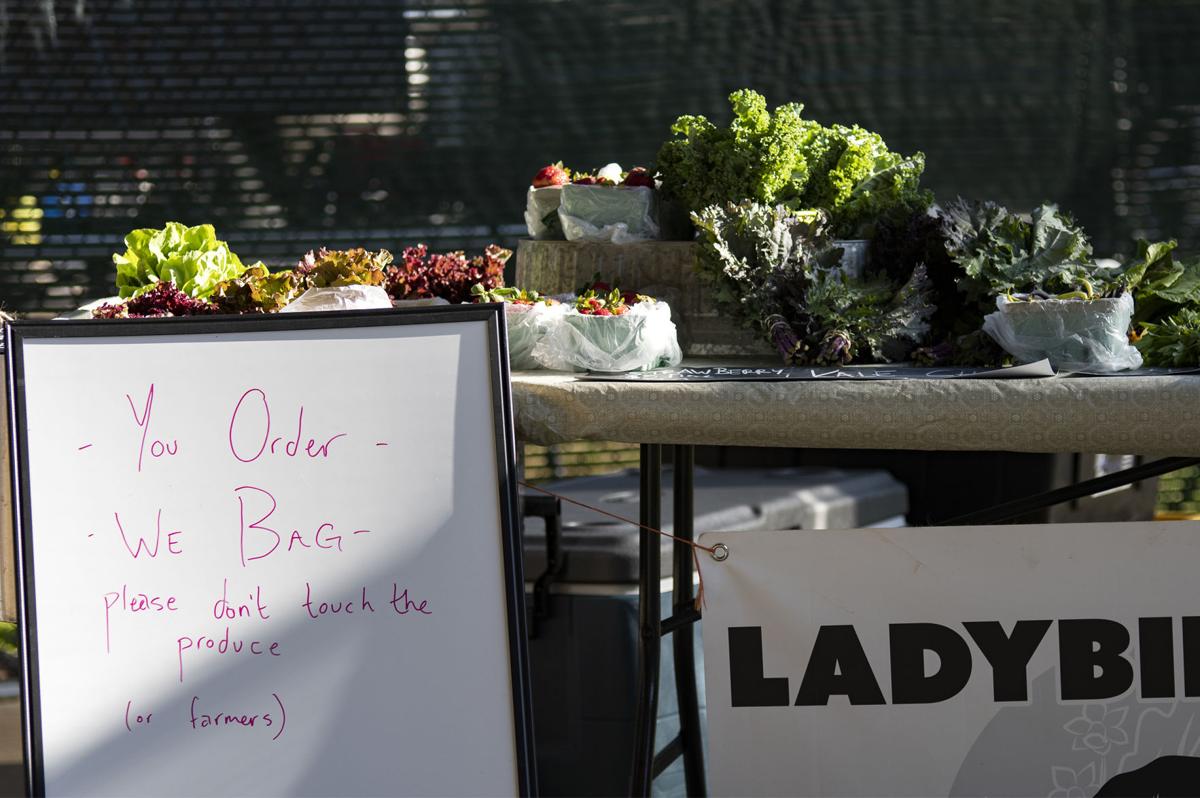 200516_ks_FarmersMarket_0007.jpg