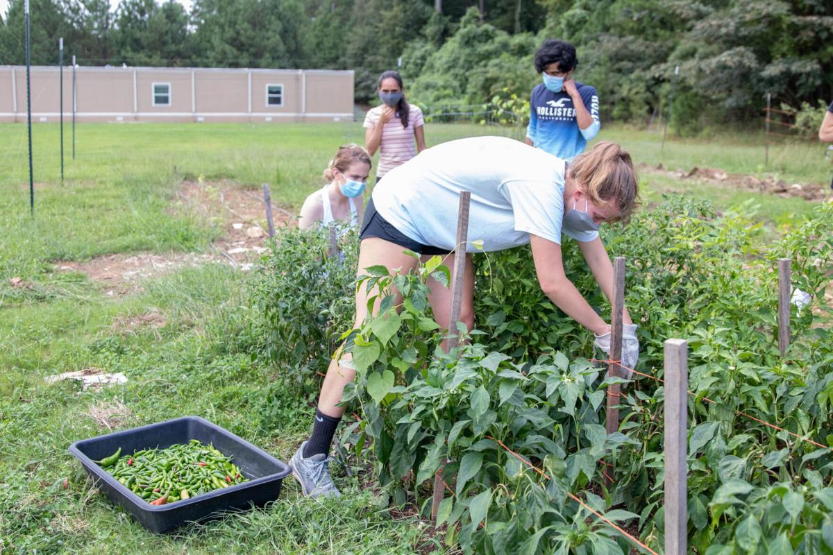 200829_SMH_DawgDayofService-34.jpg