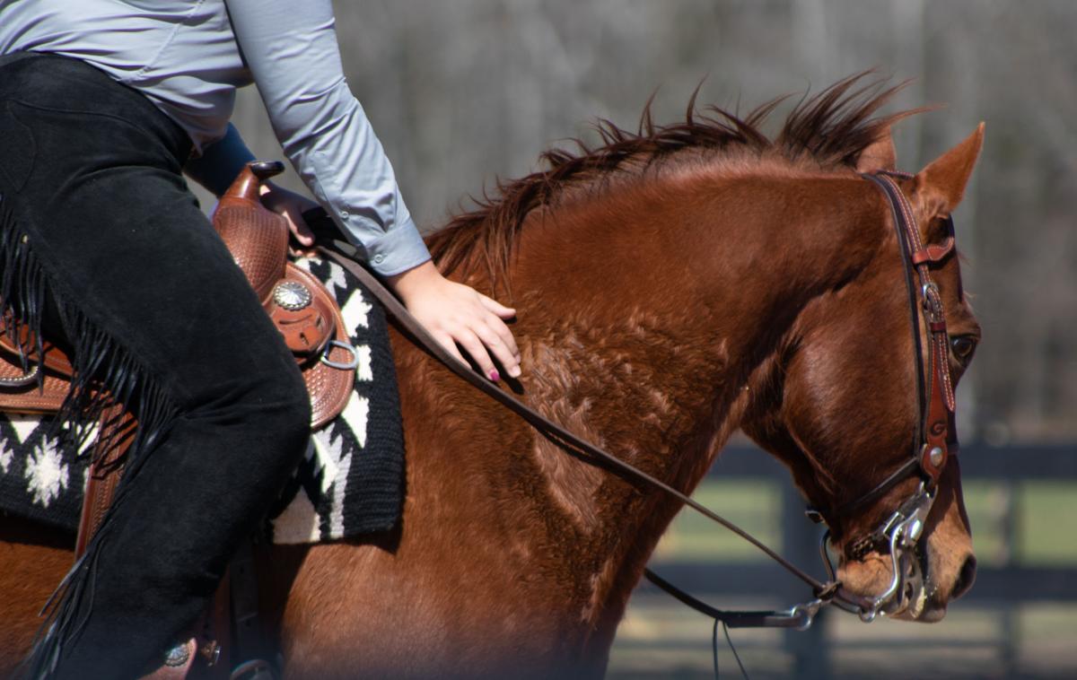 200229_CMB_Equestrian_00628.jpg