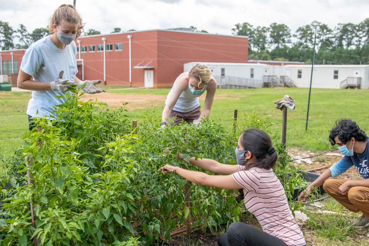 200829_SMH_DawgDayofService-30.jpg
