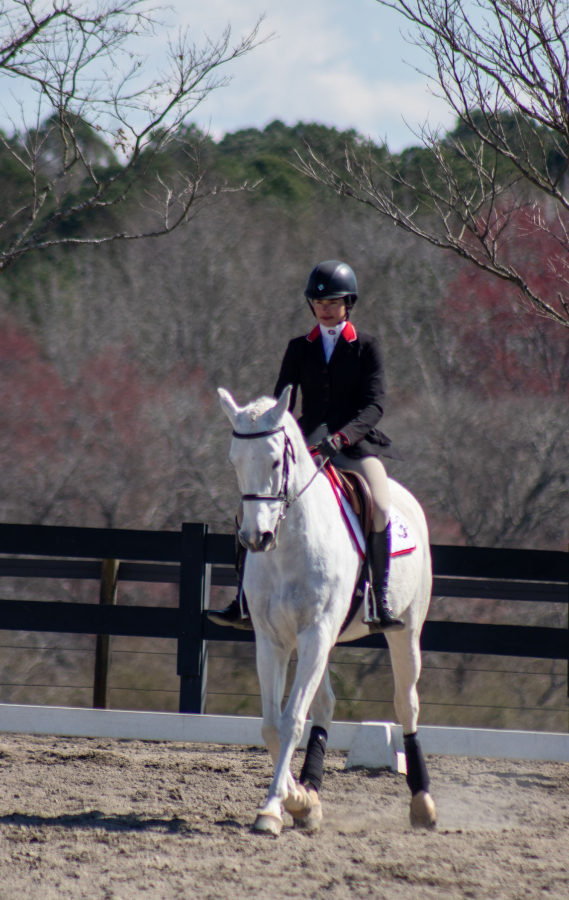 200229_CMB_Equestrian_00538.jpg