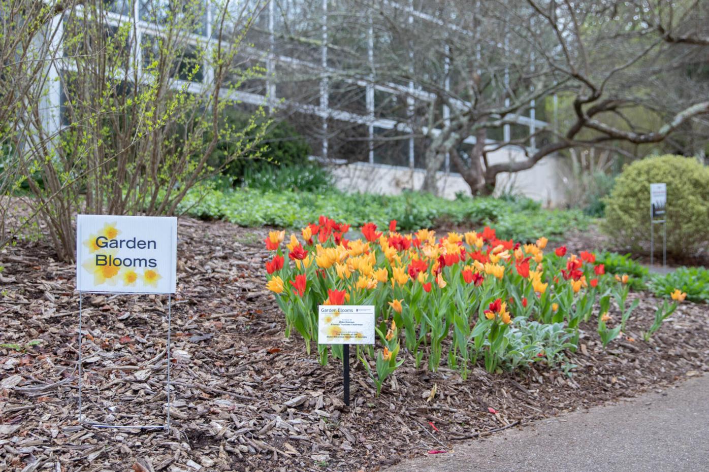210324_SMH_Spring Botanical Gardens 013.jpg