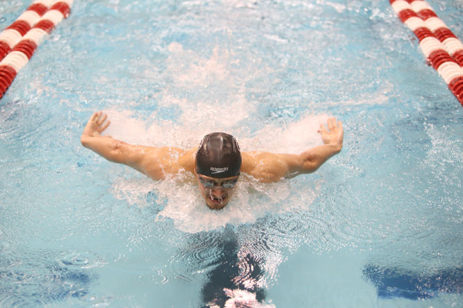 Georgia Swimming & Diving Fall Invitational Day One | Photo Galleries ...