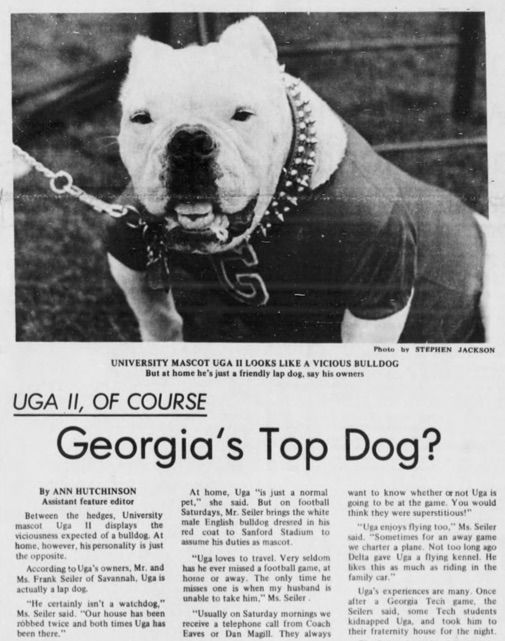 georgia bulldog dog sweater
