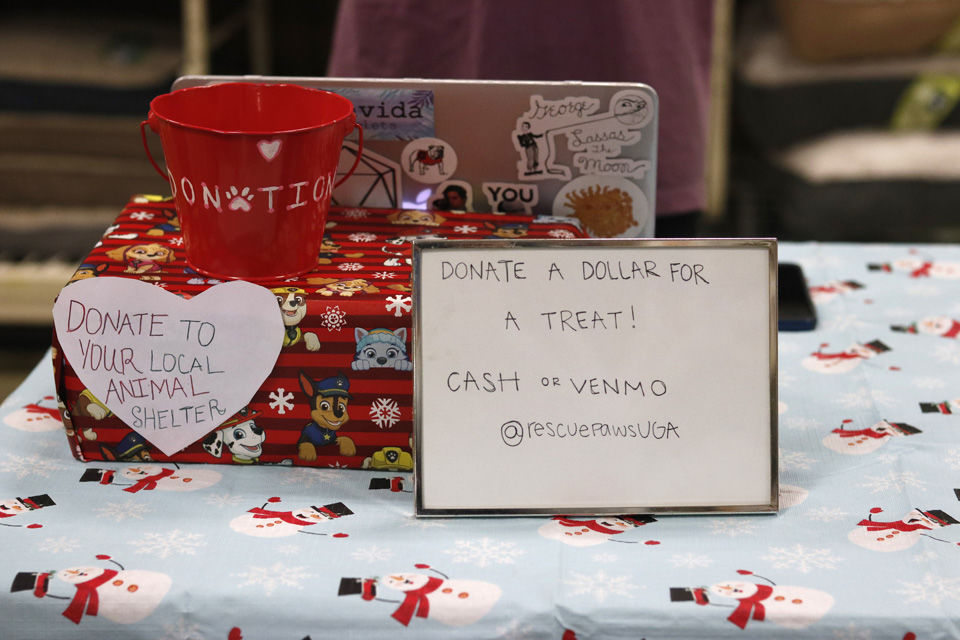 20181205_dr_rescuepaws0002.jpg