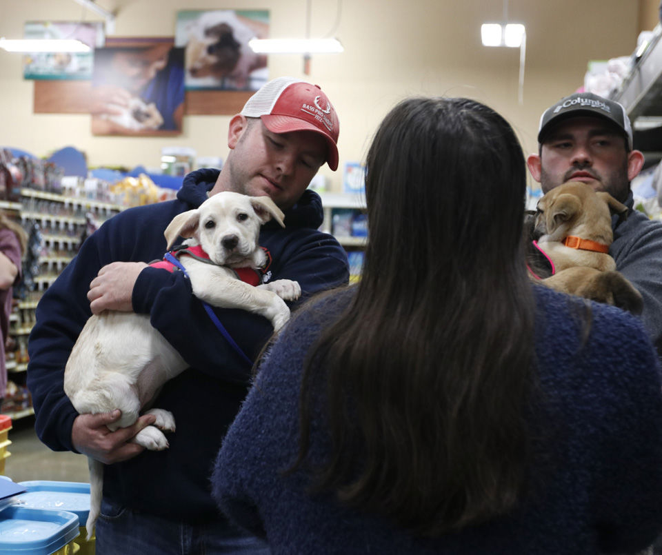 20181205_dr_rescuepaws0005.jpg