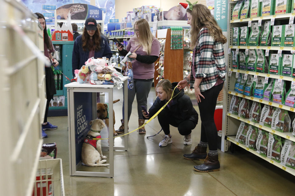 20181205_dr_rescuepaws0010.jpg