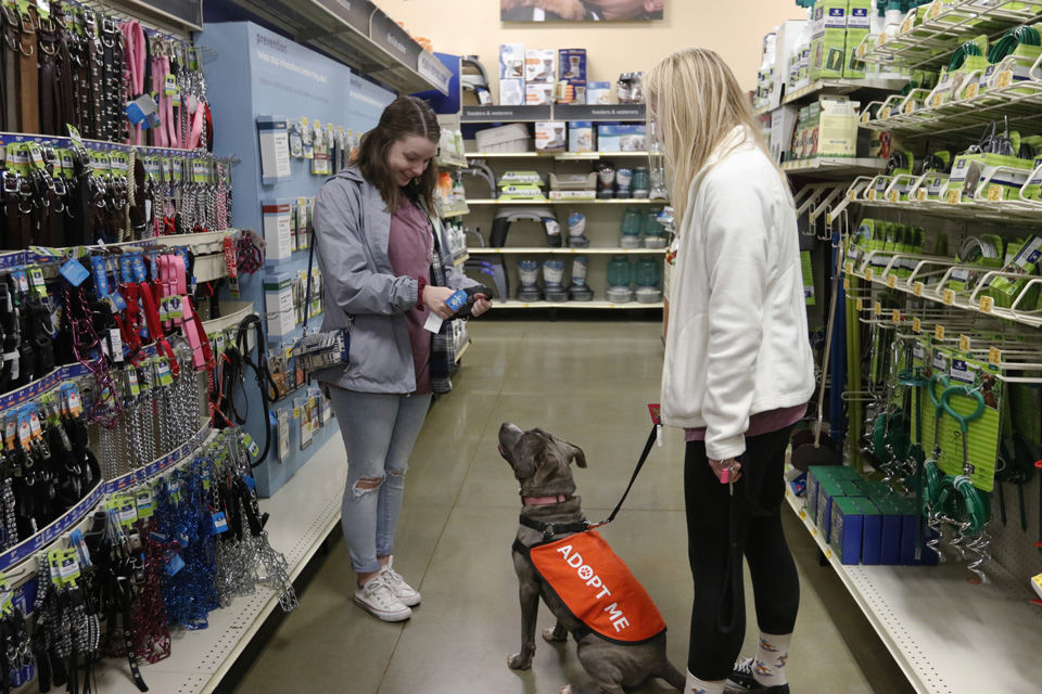 20181205_dr_rescuepaws0012.jpg