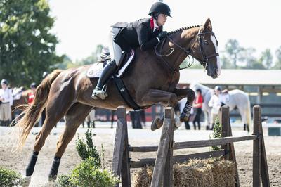 Georgia Equestrian Defeats South Carolina 14 5 In Sec Opener - 