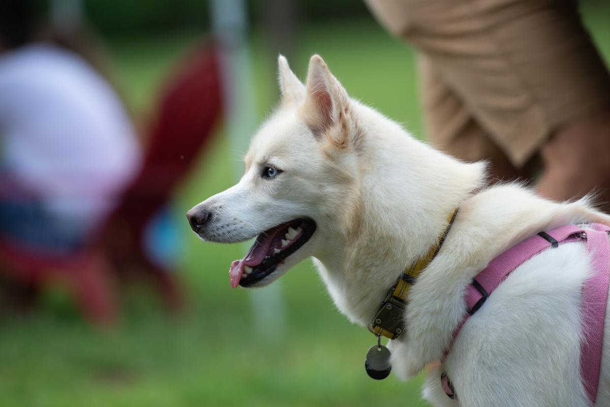 200822_JCA_SoCoFifth_017.JPG
