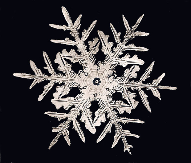 She Blinded Me with Science: Are snowflakes really all different? - The ...