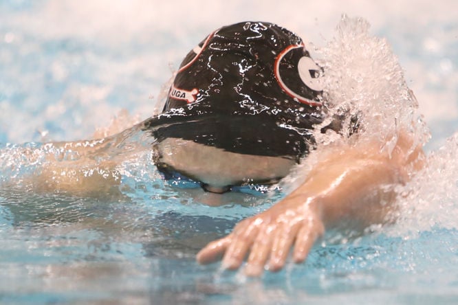 Georgia Swimming & Diving Fall Invitational Day One | Photo Galleries ...