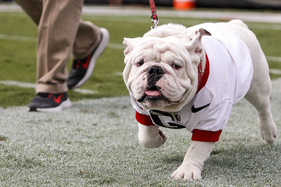 Bulldogs in the NFL - Wildcard Weekend - University of Georgia