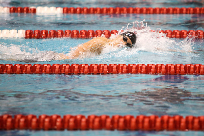 Georgia Swimming & Diving Fall Invitational Day One | Photo Galleries ...