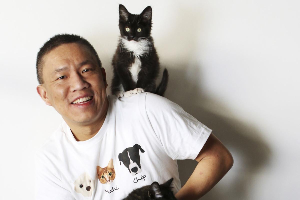 Cats And Coffee Paws Up Cafe To Open Soon Offers Adoptable Cats