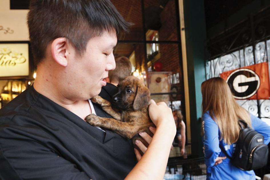 Photos Magnolias Bar Of Athens Hosts Tailgate Puppy Adoption