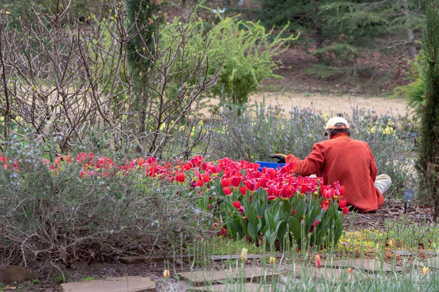 210324_SMH_Spring Botanical Gardens 014.jpg