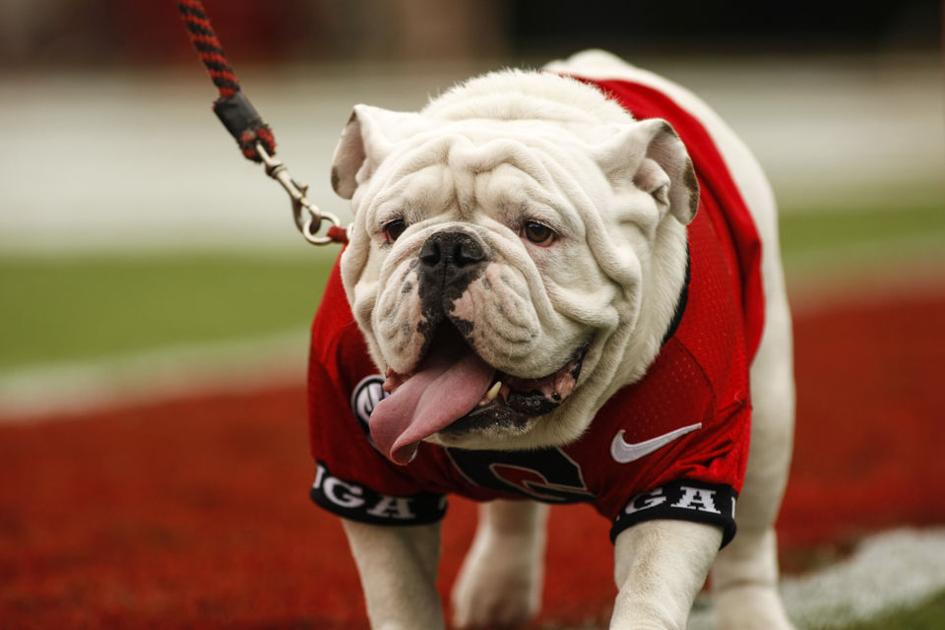 5 potential bowl games for the Georgia Bulldogs | Sports | redandblack.com