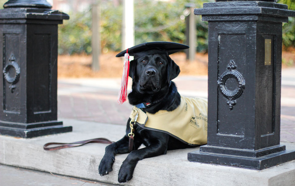 guide dog foundation uga