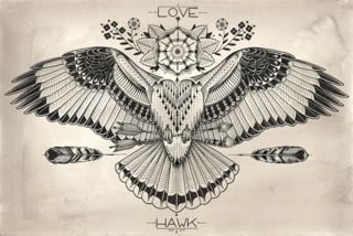 20 Nice Hawk Tattoo Designs