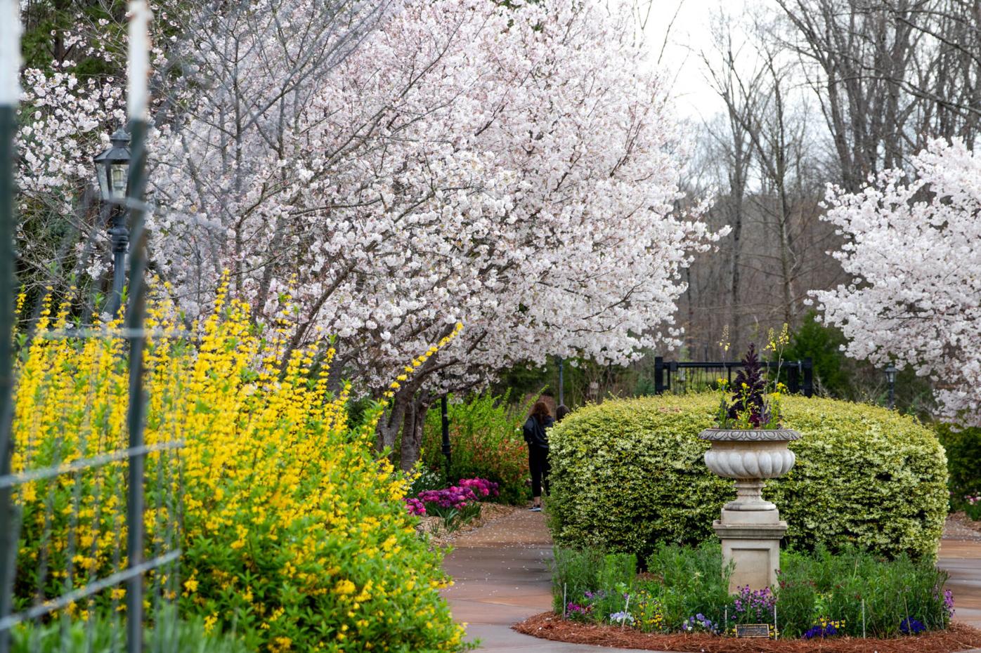 210324_SMH_Spring Botanical Gardens 015.jpg